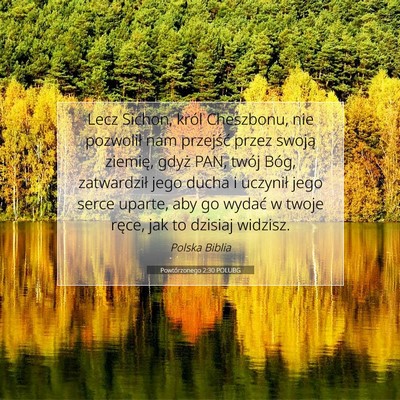 Picture 07 - Powtórzonego 2:30 POLUBG - Lecz Sichon, król Cheszbonu, nie pozwolił nam - Bible Verse Picture