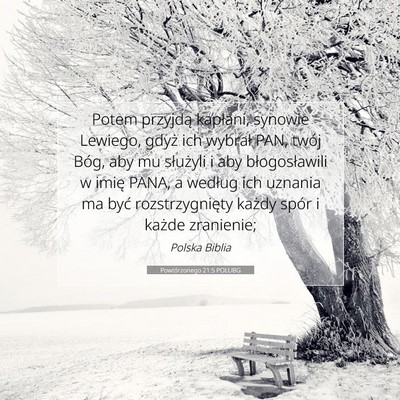 Picture 07 - Powtórzonego 21:5 POLUBG - Potem przyjdą kapłani, synowie Lewiego, gdyż - Bible Verse Picture
