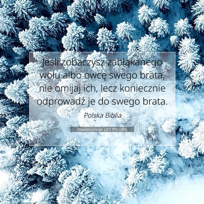 Picture 07 - Powtórzonego 22:1 POLUBG - Jeśli zobaczysz zabłąkanego wołu albo owcę - Bible Verse Picture