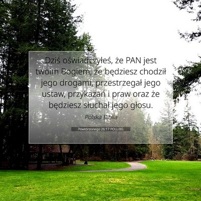 Picture 07 - Powtórzonego 26:17 POLUBG - Dziś oświadczyłeś, że PAN jest twoim Bogiem, - Bible Verse Picture