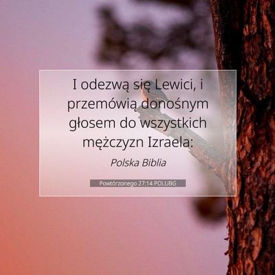 Picture 07 - Powtórzonego 27:14 POLUBG - I odezwą się Lewici, i przemówią donośnym - Bible Verse Picture