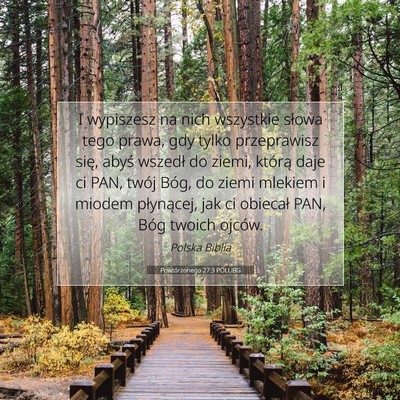 Picture 07 - Powtórzonego 27:3 POLUBG - I wypiszesz na nich wszystkie słowa tego prawa, - Bible Verse Picture