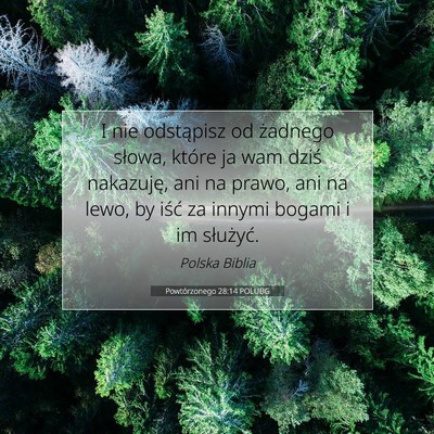 Picture 07 - Powtórzonego 28:14 POLUBG - I nie odstąpisz od żadnego słowa, które ja - Bible Verse Picture