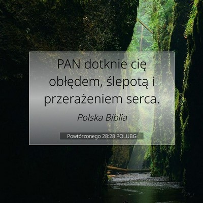 Picture 07 - Powtórzonego 28:28 POLUBG - PAN dotknie cię obłędem, ślepotą i - Bible Verse Picture