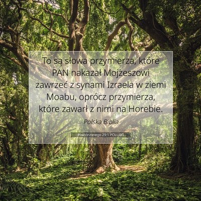 Picture 07 - Powtórzonego 29:1 POLUBG - To są słowa przymierza, które PAN nakazał - Bible Verse Picture