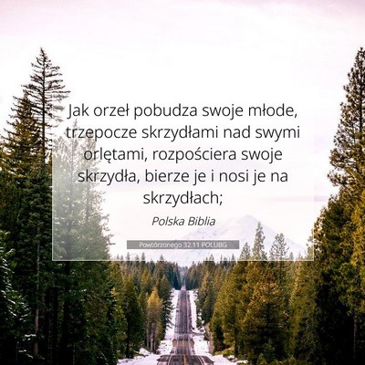 Picture 07 - Powtórzonego 32:11 POLUBG - Jak orzeł pobudza swoje młode, trzepocze - Bible Verse Picture