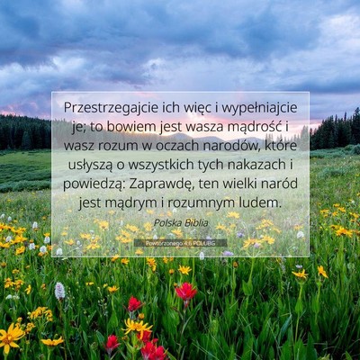 Picture 07 - Powtórzonego 4:6 POLUBG - Przestrzegajcie ich więc i wypełniajcie je; to - Bible Verse Picture