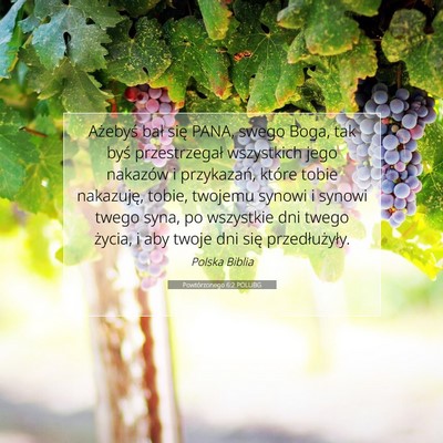 Picture 07 - Powtórzonego 6:2 POLUBG - Ażebyś bał się PANA, swego Boga, tak byś - Bible Verse Picture