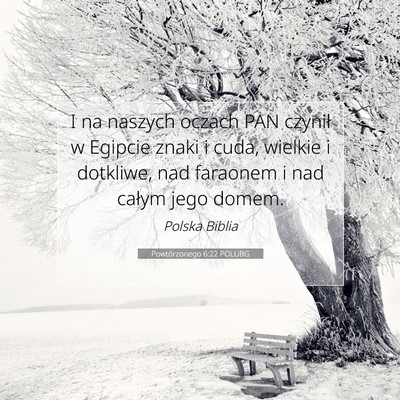 Picture 07 - Powtórzonego 6:22 POLUBG - I na naszych oczach PAN czynił w Egipcie znaki i - Bible Verse Picture