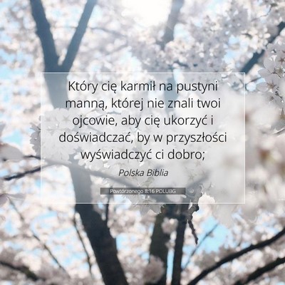 Picture 07 - Powtórzonego 8:16 POLUBG - Który cię karmił na pustyni manną, której - Bible Verse Picture