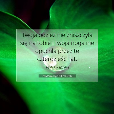 Picture 07 - Powtórzonego 8:4 POLUBG - Twoja odzież nie zniszczyła się na tobie i - Bible Verse Picture