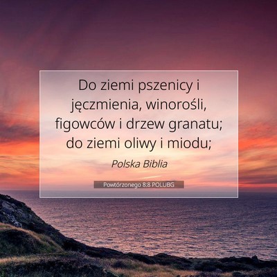 Picture 07 - Powtórzonego 8:8 POLUBG - Do ziemi pszenicy i jęczmienia, winorośli, - Bible Verse Picture