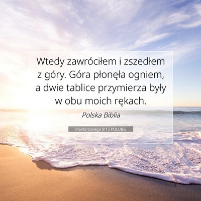 Picture 07 - Powtórzonego 9:15 POLUBG - Wtedy zawróciłem i zszedłem z góry. Góra - Bible Verse Picture
