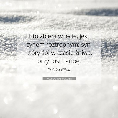 Picture 07 - Przysłów 10:5 POLUBG - Kto zbiera w lecie, jest synem roztropnym; syn, - Bible Verse Picture