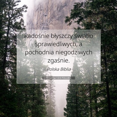 Picture 07 - Przysłów 13:9 POLUBG - Radośnie błyszczy światło sprawiedliwych, a - Bible Verse Picture