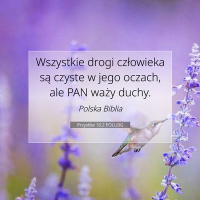 Picture 07 - Przysłów 16:2 POLUBG - Wszystkie drogi człowieka są czyste w jego - Bible Verse Picture