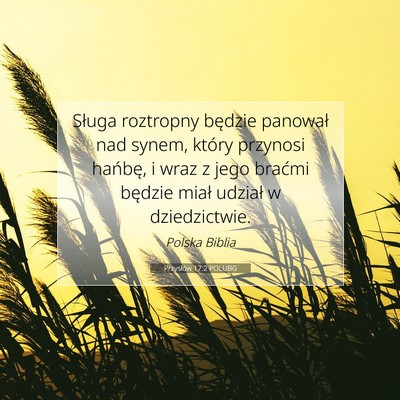 Picture 07 - Przysłów 17:2 POLUBG - Sługa roztropny będzie panował nad synem, - Bible Verse Picture