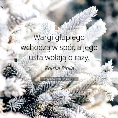 Picture 07 - Przysłów 18:6 POLUBG - Wargi głupiego wchodzą w spór, a jego usta - Bible Verse Picture
