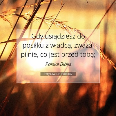Picture 07 - Przysłów 23:1 POLUBG - Gdy usiądziesz do posiłku z władcą, zważaj - Bible Verse Picture