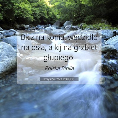 Picture 07 - Przysłów 26:3 POLUBG - Bicz na konia, wędzidło na osła, a kij na - Bible Verse Picture