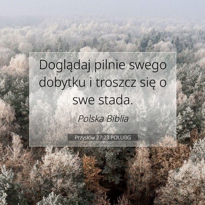Picture 07 - Przysłów 27:23 POLUBG - Doglądaj pilnie swego dobytku i troszcz się o - Bible Verse Picture