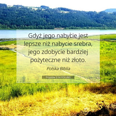 Picture 07 - Przysłów 3:14 POLUBG - Gdyż jego nabycie jest lepsze niż nabycie - Bible Verse Picture