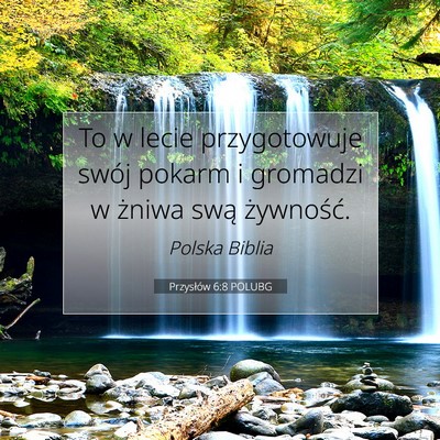 Picture 07 - Przysłów 6:8 POLUBG - To w lecie przygotowuje swój pokarm i gromadzi w - Bible Verse Picture