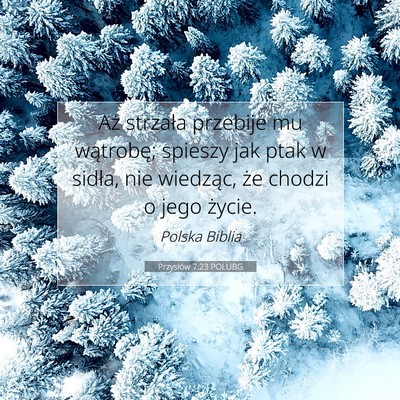 Picture 07 - Przysłów 7:23 POLUBG - Aż strzała przebije mu wątrobę; spieszy jak - Bible Verse Picture