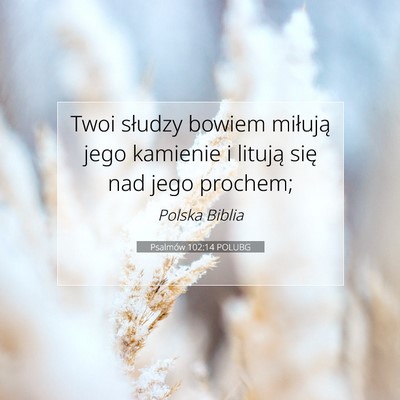 Picture 07 - Psalmów 102:14 POLUBG - Twoi słudzy bowiem miłują jego kamienie i - Bible Verse Picture
