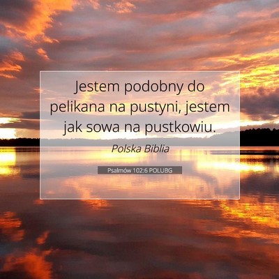 Picture 07 - Psalmów 102:6 POLUBG - Jestem podobny do pelikana na pustyni, jestem jak - Bible Verse Picture