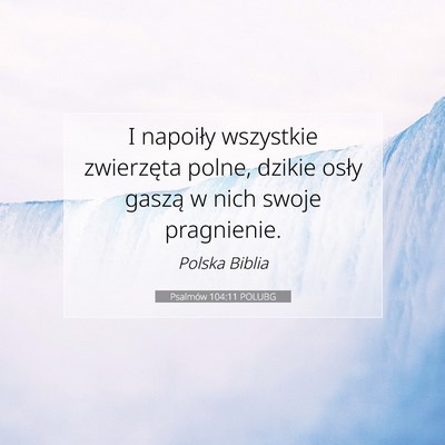 Picture 07 - Psalmów 104:11 POLUBG - I napoiły wszystkie zwierzęta polne, dzikie - Bible Verse Picture