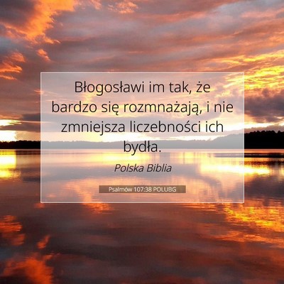 Picture 07 - Psalmów 107:38 POLUBG - Błogosławi im tak, że bardzo się - Bible Verse Picture