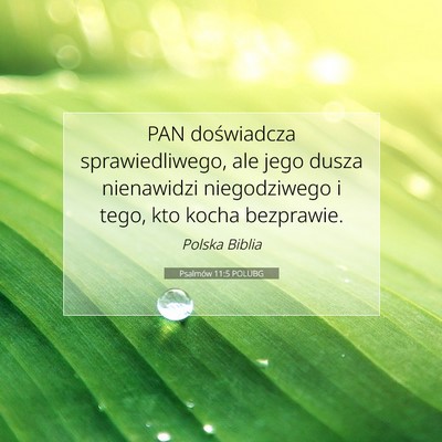 Picture 07 - Psalmów 11:5 POLUBG - PAN doświadcza sprawiedliwego, ale jego dusza - Bible Verse Picture