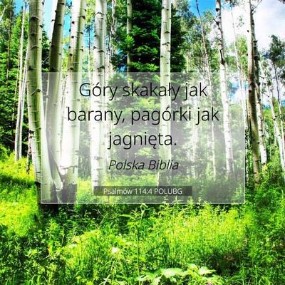 Picture 07 - Psalmów 114:4 POLUBG - Góry skakały jak barany, pagórki jak - Bible Verse Picture