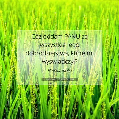 Picture 07 - Psalmów 116:12 POLUBG - Cóż oddam PANU za wszystkie jego - Bible Verse Picture