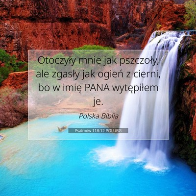 Picture 07 - Psalmów 118:12 POLUBG - Otoczyły mnie jak pszczoły, ale zgasły jak - Bible Verse Picture