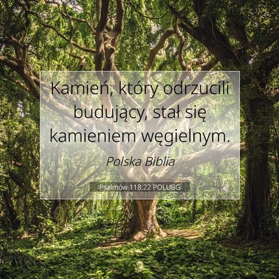 Picture 07 - Psalmów 118:22 POLUBG - Kamień, który odrzucili budujący, stał się - Bible Verse Picture