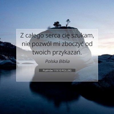 Picture 07 - Psalmów 119:10 POLUBG - Z całego serca cię szukam, nie pozwól mi - Bible Verse Picture