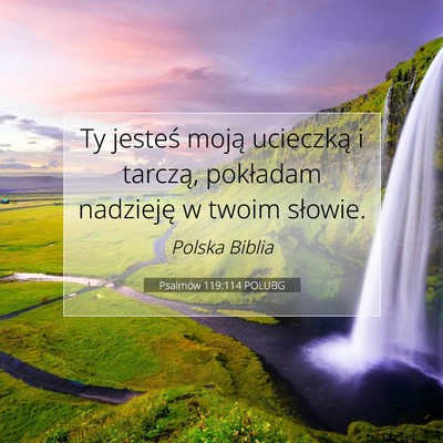 Picture 07 - Psalmów 119:114 POLUBG - Ty jesteś moją ucieczką i tarczą, pokładam - Bible Verse Picture