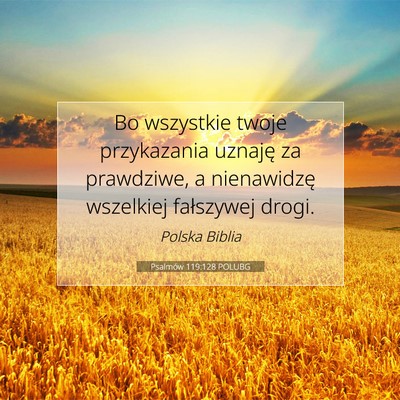 Picture 07 - Psalmów 119:128 POLUBG - Bo wszystkie twoje przykazania uznaję za - Bible Verse Picture