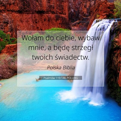 Picture 07 - Psalmów 119:146 POLUBG - Wołam do ciebie, wybaw mnie, a będę strzegł - Bible Verse Picture