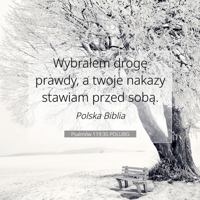 Picture 07 - Psalmów 119:30 POLUBG - Wybrałem drogę prawdy, a twoje nakazy stawiam - Bible Verse Picture