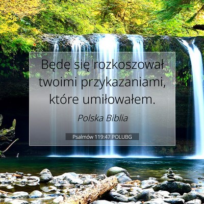 Picture 07 - Psalmów 119:47 POLUBG - Będę się rozkoszował twoimi przykazaniami, - Bible Verse Picture