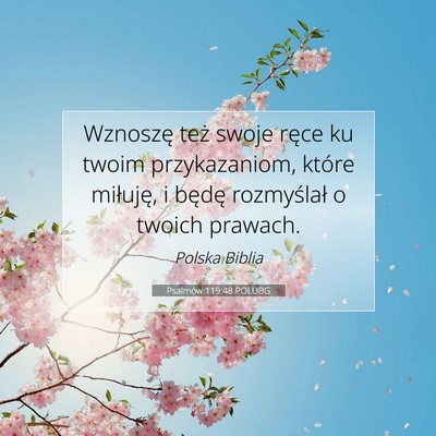 Picture 07 - Psalmów 119:48 POLUBG - Wznoszę też swoje ręce ku twoim przykazaniom, - Bible Verse Picture
