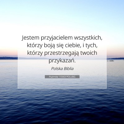 Picture 07 - Psalmów 119:63 POLUBG - Jestem przyjacielem wszystkich, którzy boją - Bible Verse Picture
