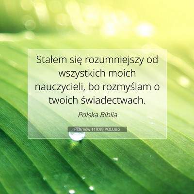 Picture 07 - Psalmów 119:99 POLUBG - Stałem się rozumniejszy od wszystkich moich - Bible Verse Picture