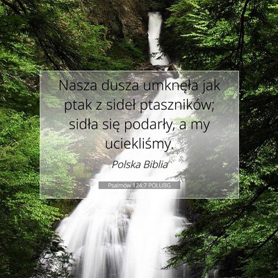 Picture 07 - Psalmów 124:7 POLUBG - Nasza dusza umknęła jak ptak z sideł - Bible Verse Picture