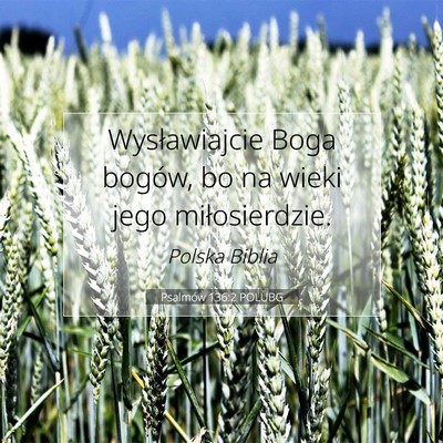 Picture 07 - Psalmów 136:2 POLUBG - Wysławiajcie Boga bogów, bo na wieki jego - Bible Verse Picture
