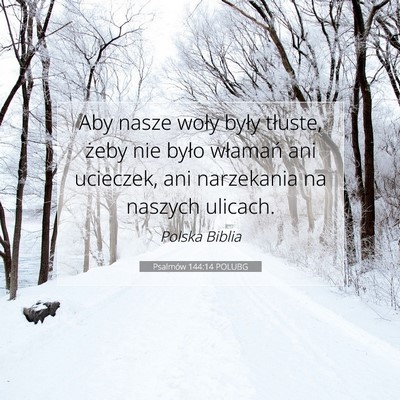Picture 07 - Psalmów 144:14 POLUBG - Aby nasze woły były tłuste, żeby nie było - Bible Verse Picture