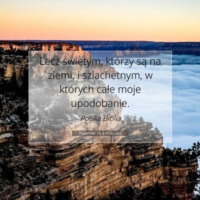 Picture 07 - Psalmów 16:3 POLUBG - Lecz świętym, którzy są na ziemi, i - Bible Verse Picture